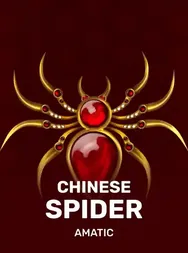 Chinese Spider